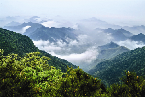 天目山-清凉峰世界生物圈保护区